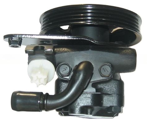 নিসান ম্যাক্সিমা A31 A32 এর জন্য 21G72145 সার্ভিস স্টিয়ারিং পাম্প পারফেক্ট প্রতিস্থাপন