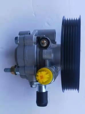 ইসুজু ডি-ম্যাক্স ডাবল পুললি 4JA1 AJB1 4JB1T 4ZD1 4ZE1 1980-2006 এর জন্য পাওয়ার স্টিয়ারিং পাম্প