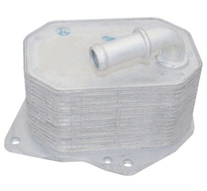 BB3Q6B624EA ফোর্ড রেঞ্জার তেল কুলার এভারেস্ট মাজদা বিটি-৫০ টিডিসিআই তেল কুলার