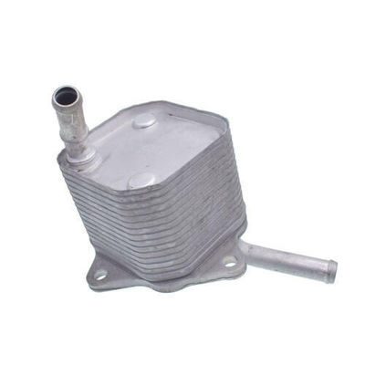 টয়োটা হিলাক্স রিভো 1GD 2GD 15071-0E010 রেফারেন্স নং 8095055 এর জন্য ইঞ্জিন অয়েল কুলার সেট
